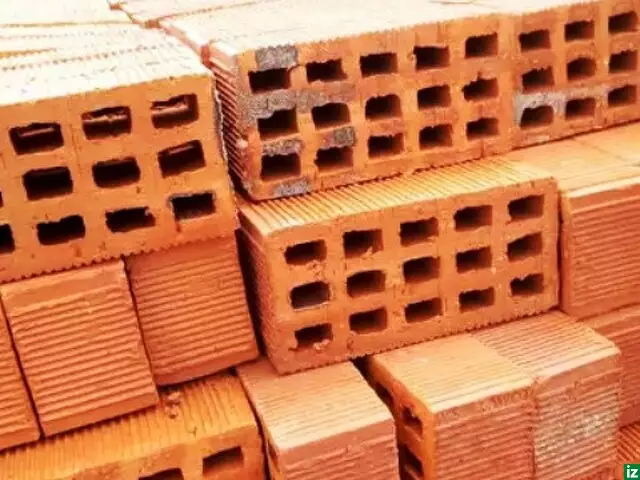 The selected Bricks